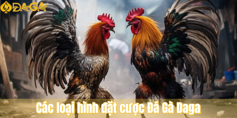 Các loại hình đặt cược Đá Gà Daga